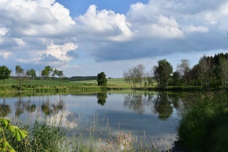 rybník v Modrci u Poličky